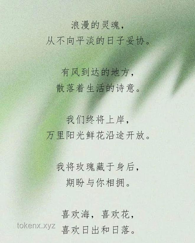 高端局情感博弈：“爱意随风起，风止意难平”案例分析
